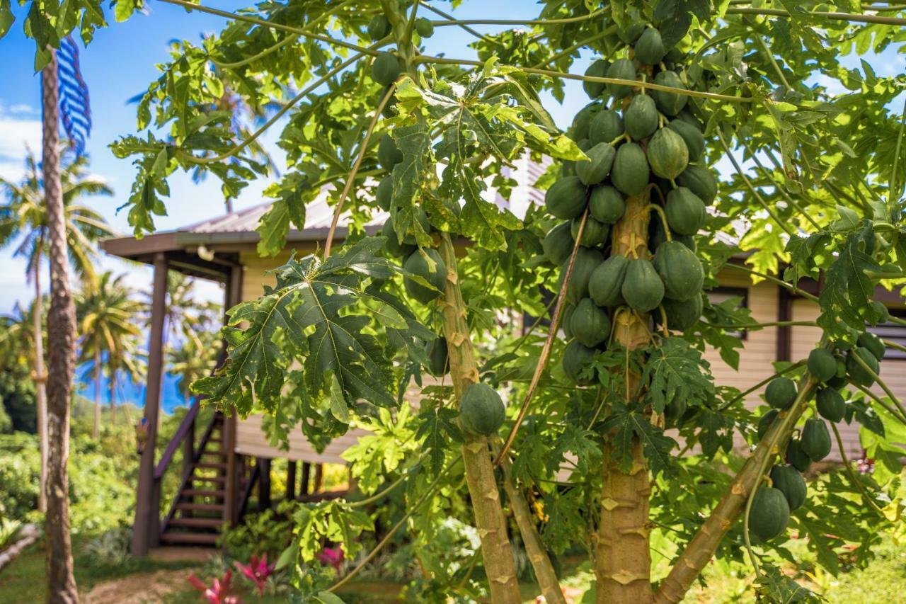 Vakanananu Retreat Villa Матей Екстериор снимка